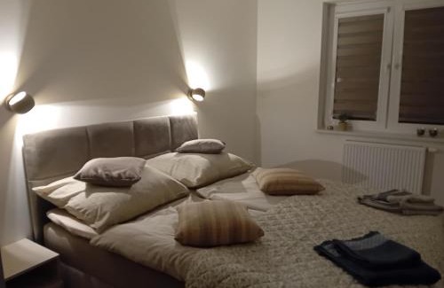 Ustrzyki Dolne Apartamento | Koliber