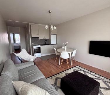 Ylivieska Apartamento | Kolmio keskustasta