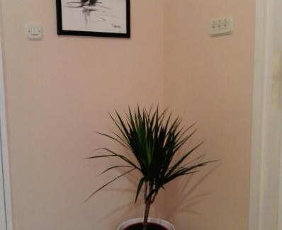 Jadrija Apartamento | Kolombo Apartment