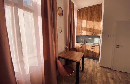 Pardubice Apartamento | Kompletně vybavené studio u divadla - Wi-Fi zdarma