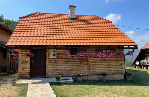 Bajina Basta Casa | Konak Mandica avlija