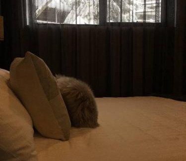 Falls Creek Apartamento | Konayuki Apartment 8