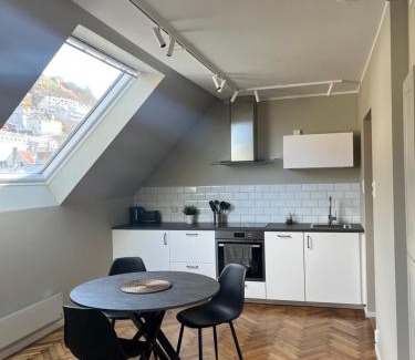 Sentrum Apartamento | Kong Oscars Apartments