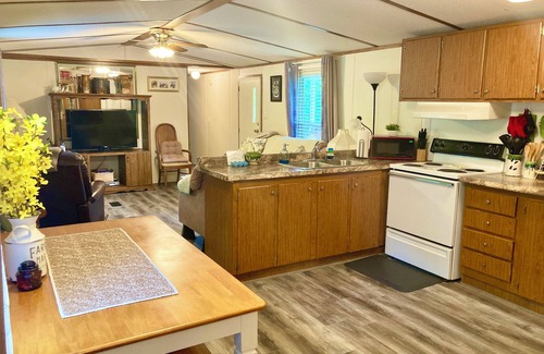 Damascus Casa | Konnarock Homestead w/ Mountain View, VA Creeper Trail/Appalachian Trail local