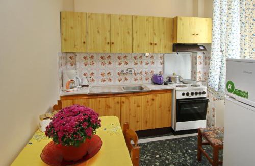 Palaio Tsifliki Apartamento | Konstantina’s House