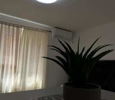 Rana Apartamento | Kontiki Apartments 2