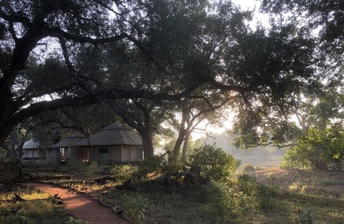 Mashatu Game Reserve Otro | Koro River Camp