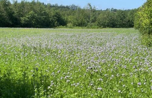Sindal Apartamento | Korsholt-natur 135 G