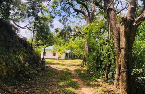 Bandarawela Apartamento | Koshi's Country Cottage Ella