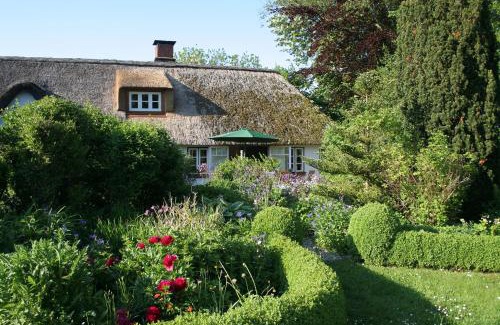 Tetenbull Casa | Krabbe 32