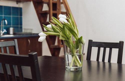 City Centre Apartamento | Kraków Wawel Zwierzyniecka