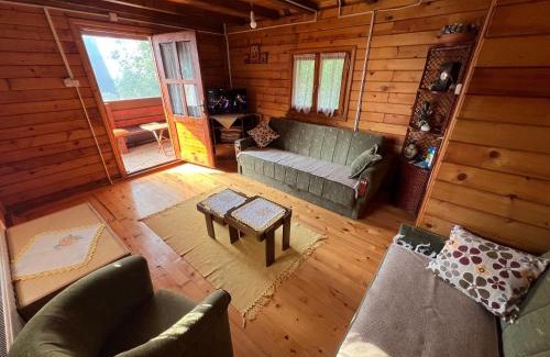 Mionica Casa | Kraljeva breza