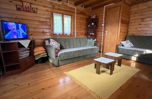 Mionica Casa | Kraljeva breza