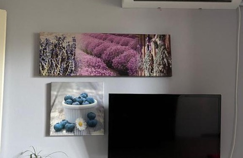 Cluj-Napoca Apartamento | Kreation Rainbow