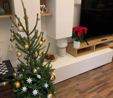 Liben Apartamento | Krejcarek Garden Apartment