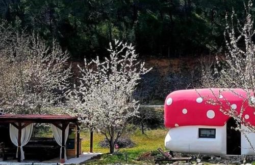 Skradin Apartamento | Krka fairytale village