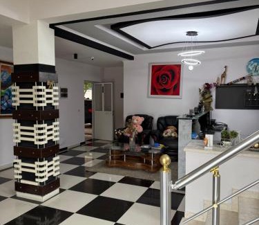 Mullet Hotel | Krokodil hotel & bar