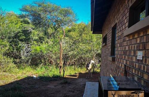 Marloth Park Casa | Krokodil Rus