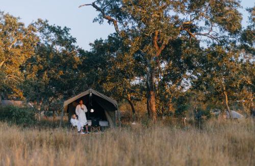 Kruger National Park Otro | Kruger Untamed - Satara Plains Camp
