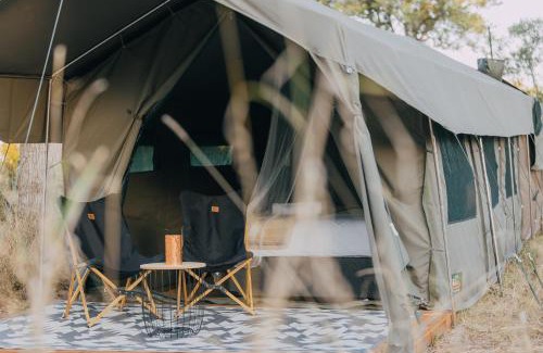Kruger National Park Otro | Kruger Untamed - Satara Plains Camp