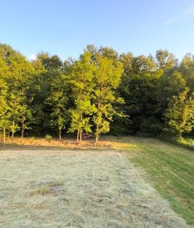 Central Serbia Apartamento | Krupajska bajka