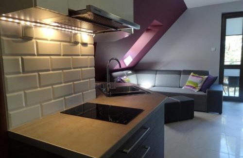 Krynica Morska Apartamento | Krynica Morska Apartament Przy Plaży