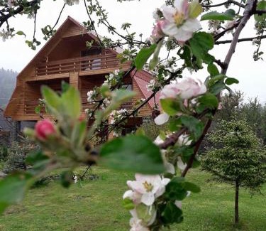 Yaremche Casa | Kryvyi brid