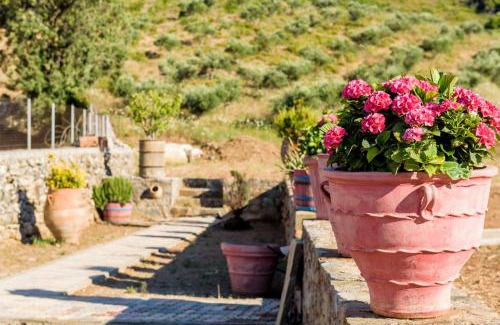 Vlatos Casa | Ktima Abella ✩ Organic Garden ✩ Absolute Privacy