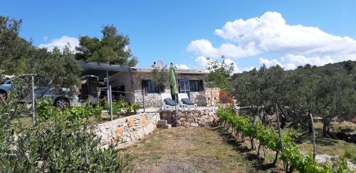 Susica Casa | Kuća Paradise- Robinson