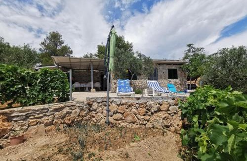 Susica Casa | Kuća Paradise- Robinson