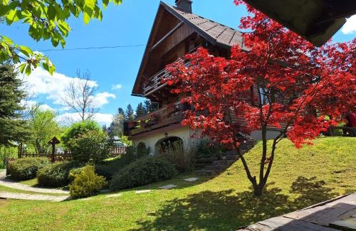 Benkovac Fuzinski Chalet De Esquí | Kuća za odmor Family Fužine