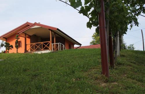 Donji Koncovcak Casa | Kuća za odmor "Nedeljko"/Holliday hause "Nedeljko"