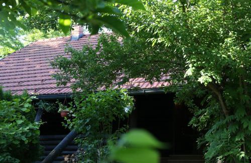 Netretic Chalet De Esquí | Kuća za odmor MARA