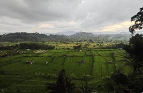 Ababi Casa | Kubu carik homestay