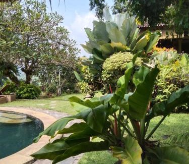 Ababi Casa | Kubu carik homestay
