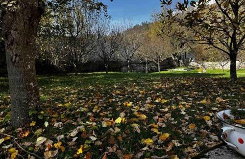 Mostar Casa | Kuca za odmor Mokebo Rujiste