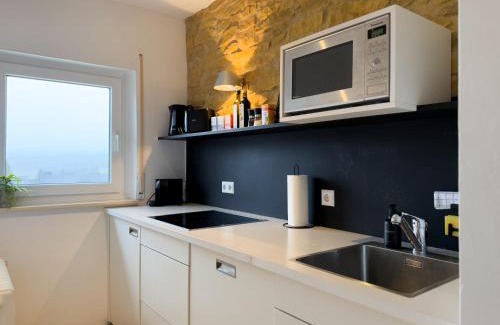 Lenzkirch Apartamento | Kuckucksnest mit Sonnenbalkon am Wald mit Grillplatz