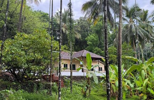 Talipparamba Apartamento | Kurinjirappallil Farms Homestay