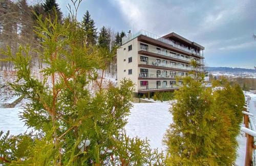 Porabka Apartamento | Kurort Kozubnik Apartament 33 Wellness &SPA