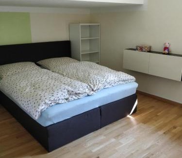 Bad Haering Apartamento | Kurort Tirol