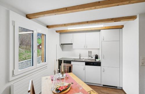 Wildhaus Apartamento | Kuschelige Ferienwohnung direkt an der Skipiste SGT08