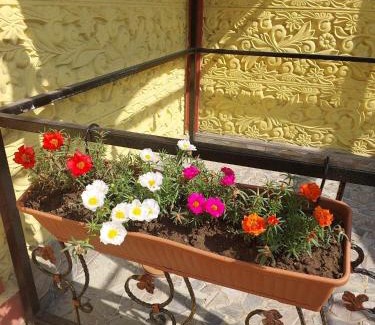 Imereti Villa | kutaisi Villa komfort
