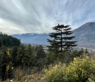 Naggar Casa | Kutumb Homestay Naggar