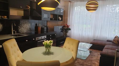 Chomutov Apartamento | Květinový apartmán A3B v Chomutově