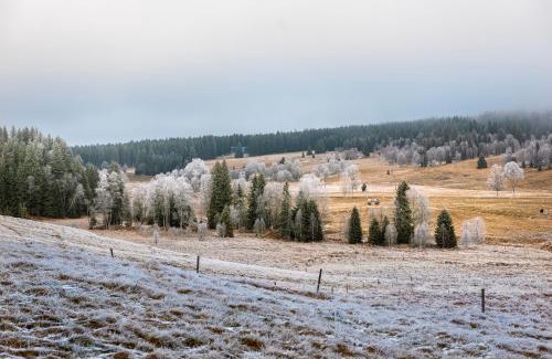 Kvilda Apartamento | Kvilda Kilián apartmán Javor