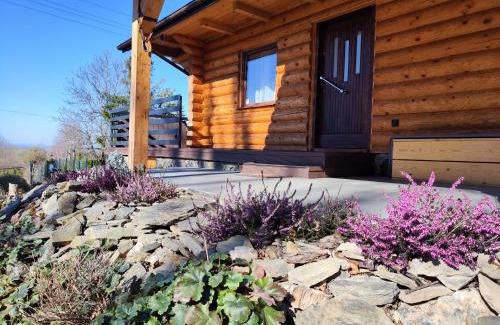 Jarnołtowek Chalet De Esquí | Kwietna łąka na szlaku