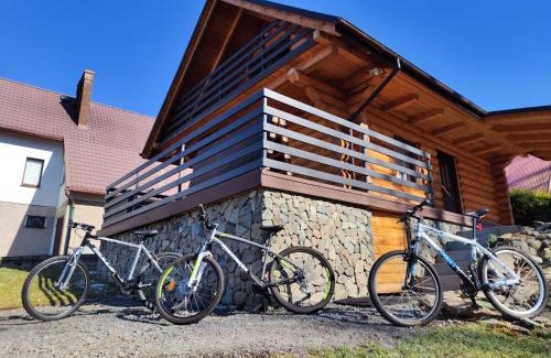 Jarnołtowek Chalet De Esquí | Kwietna łąka na szlaku