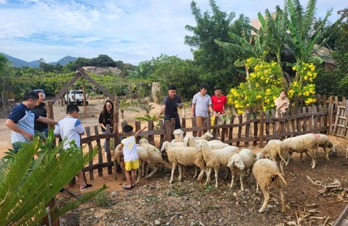 Thuan Nam Casa | Làng Cừu Farmstay
