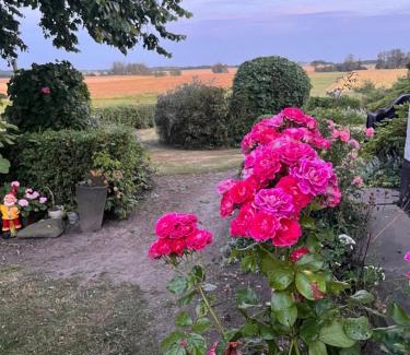 Lokken Casa | Løkken Farm Holiday