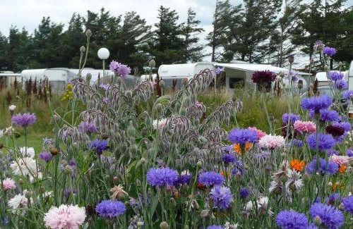 Lonstrup Otro | Lønstrup Camping Cottages & Rooms